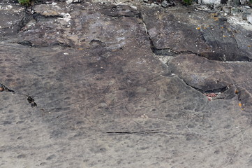   Rock petroglyphs in the tract Kalbak-Tash
