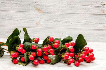 Flowers Hypericum on a light wooden background