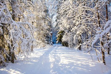 Mellonlahti nature trail, winter view, Imatra, Finland