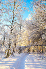 Mellonlahti nature trail, winter view, Imatra, Finland