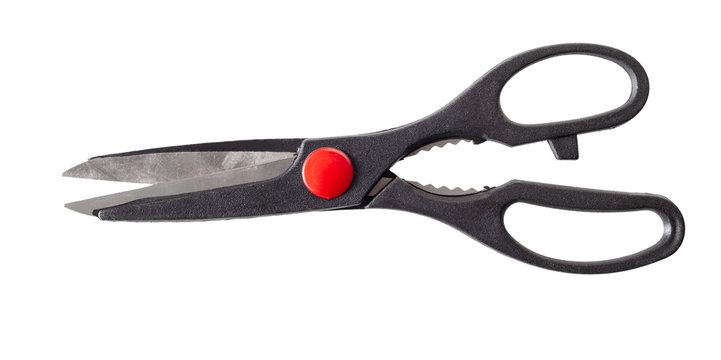 new kitchen scissors