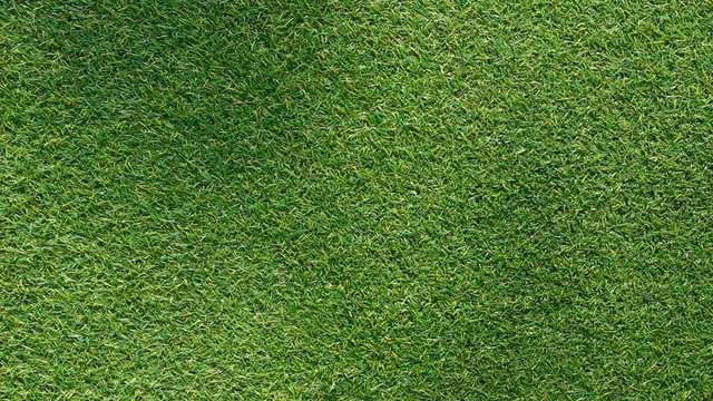 shadow on grass background