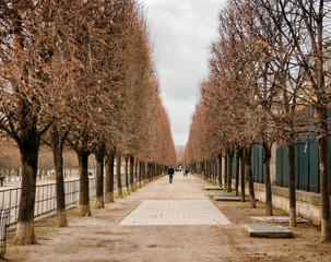 Obraz premium People walking in park during the autumn, Paris