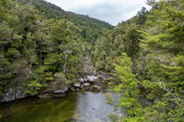 Fototapeta na wymiar Creek in the Abel Tasman National Park, Nelson, New Zealand
