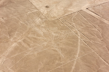 Nazca lines from the aircraft - condor