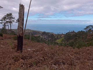 Wanderung im Westen von Madeira mit Blick auf den Atlantischen Ozean.