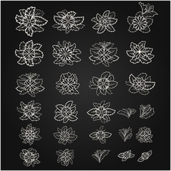 Set of vector flowers and leaves on a black background