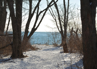 Frozen trail to the lake