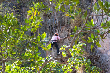  Young Women looking up while climbing on a challenging trail on a cliff practicing for athletics Young women looking up while climbing on a challenging trail on a cliff practicing for athletics touri