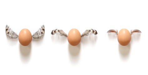 Brown egg with feathers in the form of wings.  Idea for your design.