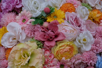 色とりどりの花一面