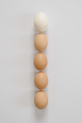 five brown and white eggs lie in a straight line. White background for lettering
