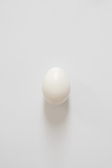 one fresh white egg lies on a white background. Copy space for your lettering