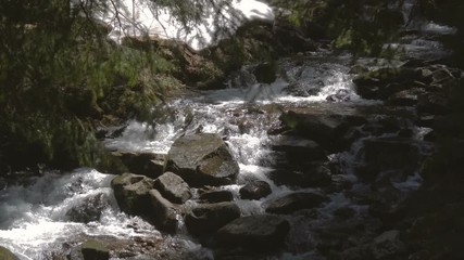 Rough waterfall running among boulders in the Carpathian Mountains in slo-mo