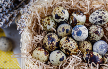 Eggs of quails in a basket on a straw substrate. Spring day. Festive easter mood.