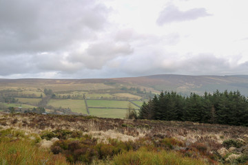 Landscapes hilly areas of Ireland. Flora of Ireland. Nature Reserve.