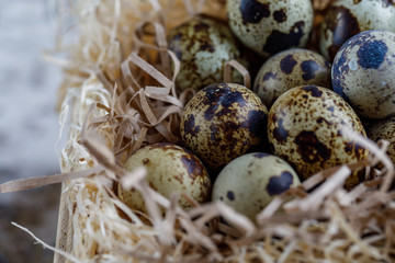 Eggs of quails in a basket on a straw substrate. Spring day. Festive easter mood.