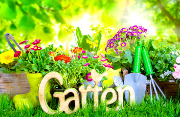 Gartenzeit Blumen Hintergrund Natur