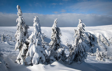 Zima w górach. Karkonosze. Polska. Euriopa