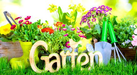 Garten Hintergrund Banner Panorama 