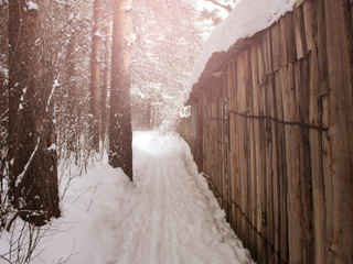 Snowing on a wooden fence, Russian forest