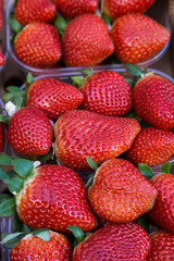 Strawberries in plastic baskets at the market with a soft focus field