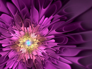 abstract flower fractal shape