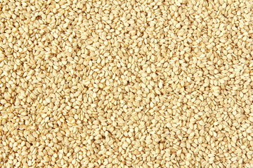 sesame Sesamum indicum or til seeds as  food texture background