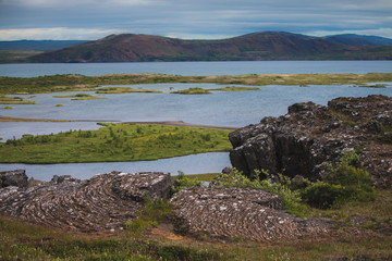 Fototapeta na wymiar Lava wrinkles near mountains Tingvallir Iceland at summer season