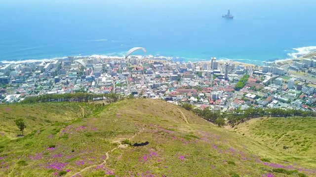 Drone aerial over paragliding and paragliders with the downtown city of Cape Town, South Africa, in background.