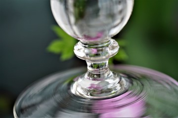 glass of water on green background