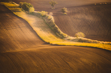 Wavy  autumn fields in Moravian Tuscany, Czech Republic