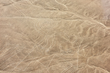 Nazca lines from the aircraft - monkey