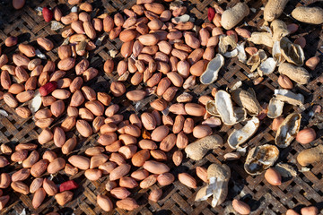 raw peeled peanuts on old bamboo basket