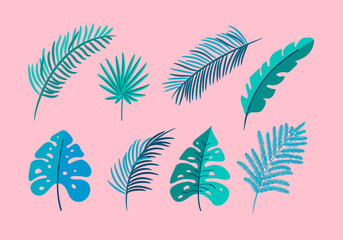 Fototapeta na wymiar Set of vector isolated flat leaves palm, exotic on pink background. Summer scandinavian hand drawn tropical nature monstera illustration for design. For greeting card, print, books