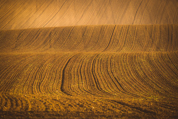 Wavy  autumn fields in Moravian Tuscany, Czech Republic