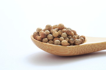 Coriander seed image Shot