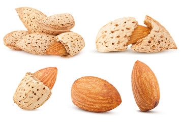 Almond nut in shell isolated on white background, full depth of field