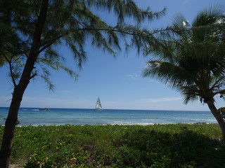 Beautiful view at the beach with a sailboat out in the water