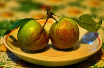 two green apples on a plate close up