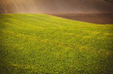 Obraz premium Wavy autumn fields in Moravian Tuscany, Czech Republic