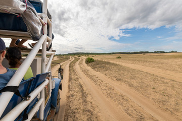Road trip at Cabo Polonio beach. Amazing wild beaches on a natural environment with no roads just sandy beaches to cross with the all terrain vehicle for arriving at the awe Cabo Polonio, Uruguay