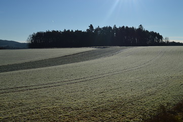 Au&szlig;erhalb der Stadt. Raureif auf den Felder.