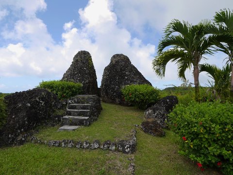 รูปภาพSabana – เลือกดูภาพถ่ายสต็อก เวกเตอร์ และวิดีโอ7,206 | Adobe Stock