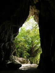 High ceiling entrance of Tonga Cave on Rota, Northern Mariana Islands Tonga Cave was used as a hospital by the Japanese administration during the World War 11.