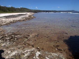 Coastal view of a beach with corals along the shoreline in a tropical island