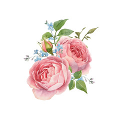 Watercolor rose vector omposition - obrazy, fototapety, plakaty