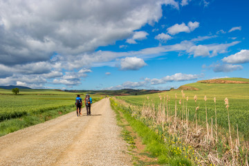Rear view of pilgrims on an unpaved country road on the Way of St. James, Camino de Santiago between Azofra and Ciruena in La Rioja, Spain under a beautiful May sky