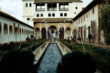 Fototapeta premium jardin del agua