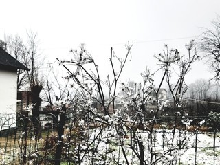 Obraz premium Tiglieto, Italy - 02/26/2019: Beautiful grey background of the first snow in the village in winter with some beautiful flowers and trees without leaves and small view to the mountains.